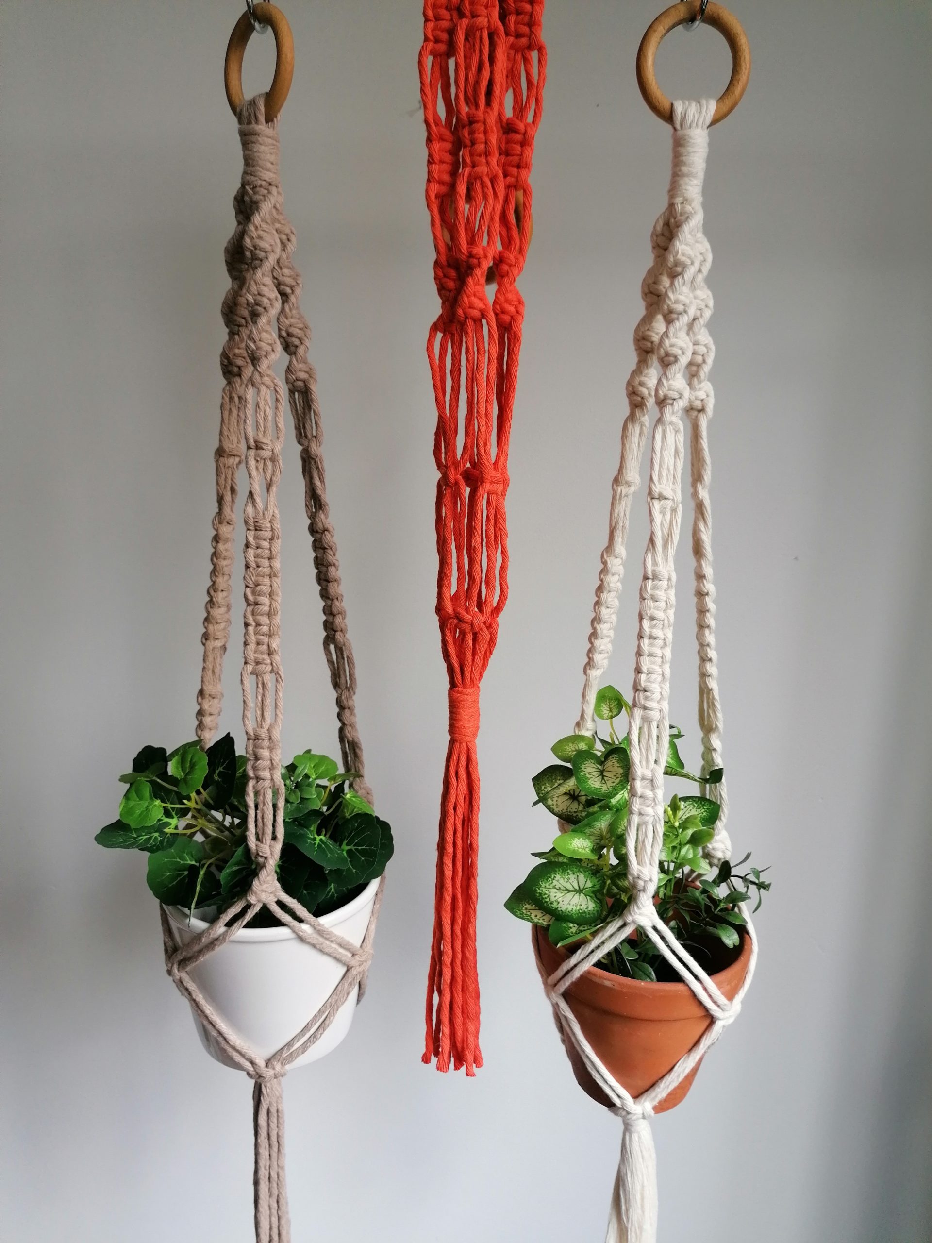 Plantenhangers